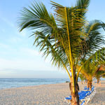 Coral Costa Caribe Resort, Spa & Casino